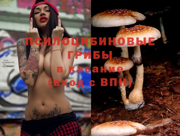 мескалин Алексин