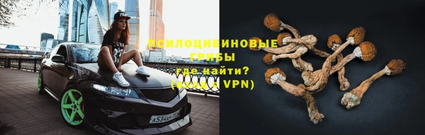 ешки Абинск