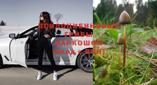 jwh Алзамай