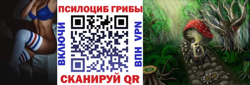 кракен ТОР  продажа наркотиков  Котлас  Псилоцибиновые грибы Psilocybe 
