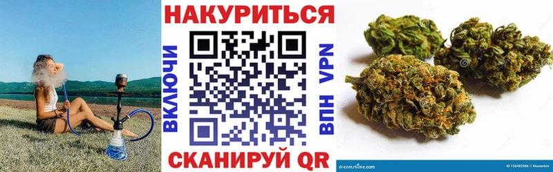 где купить   Котлас  Марихуана план 